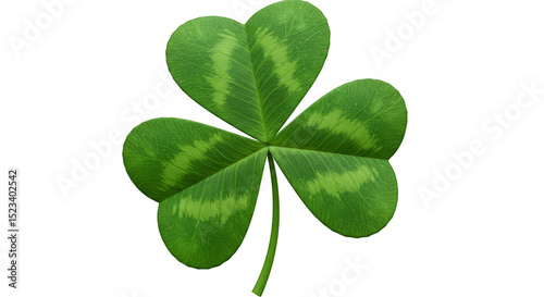 Isolated Shamrock Green Clo...