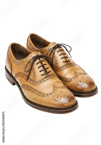 Isolated Stylish Brown Leat...