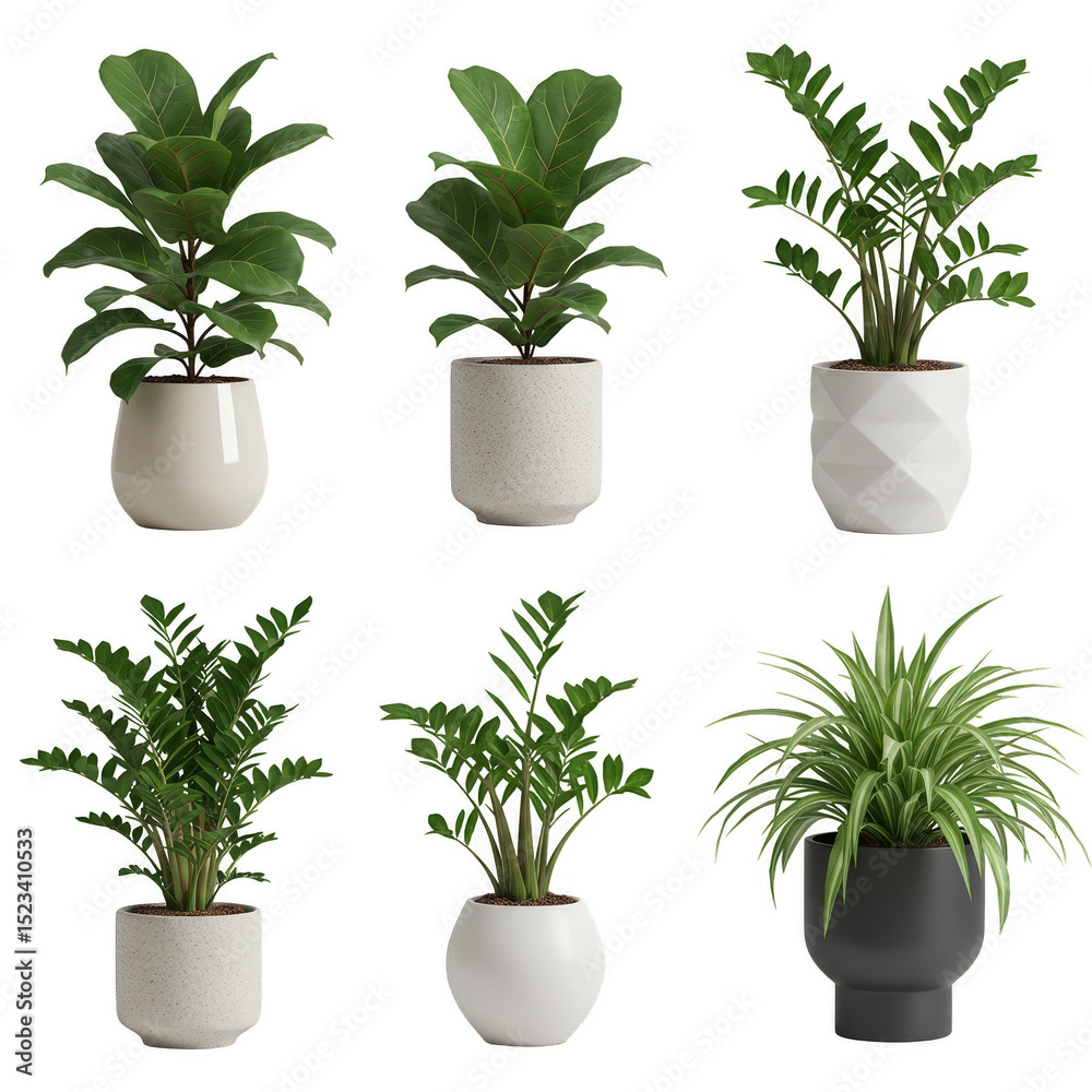 Fototapeta premium Potted Houseplant Set in Ceramic Pots Isolated Transparent Background