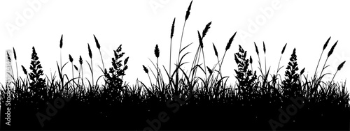 Grass silhouette,Grass simple flat vector
