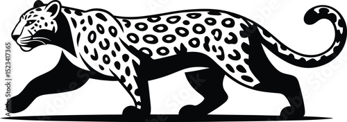A black and white illustration of a jaguar walking with its tail curled on a white background plain style