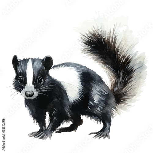 Skunk, watercolor illustration vector, high quality, isolated on a white background.