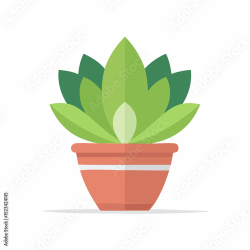 Simple vector of a compact upright succulent with smooth rounded leaves, great for home or wellness-themed design projects
