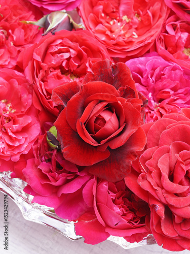 Red roses on water in glass bowl.