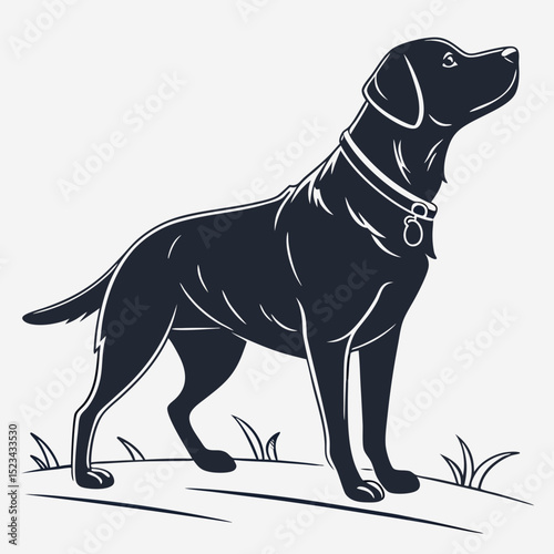 Majestic black labrador retriever dog silhouette standing in grass