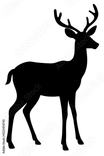 Silhouette of a Deer Standing Quietly in a Forest Clearing at Sunset