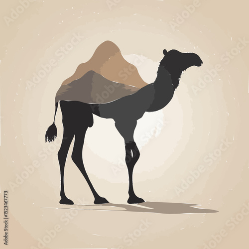 camel in desert