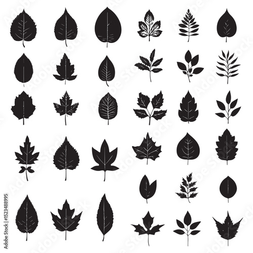 Collection of black silhouettes of various leaves