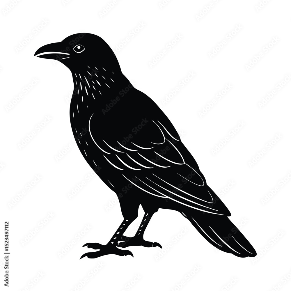 Obraz premium crow black silhoutte vector art illustration