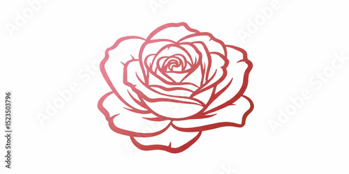 Detailed and elegant vector illustration of a rose, drawn with clean lines and enhanced with soft solid
