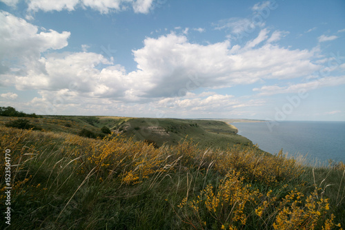 View of the Volga River and blooming fields, Samara region, Russia.