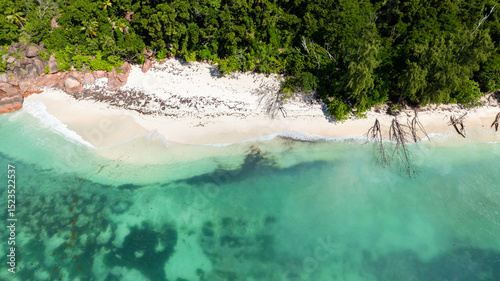 An unspoiled beach featuring soft white sands and vivid turquoise waters, embraced by a dense tropical forest.