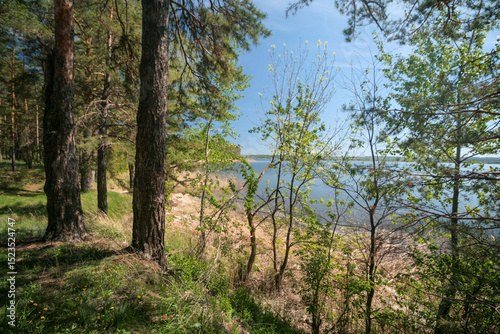 A lake surrounded by a spring forest, Russia.
