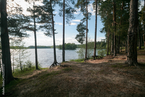 A lake surrounded by a spring forest, Russia.