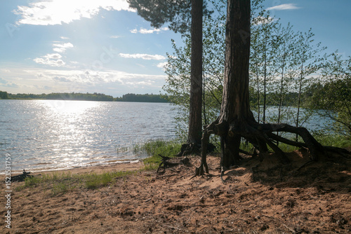 A lake surrounded by a spring forest, Russia.