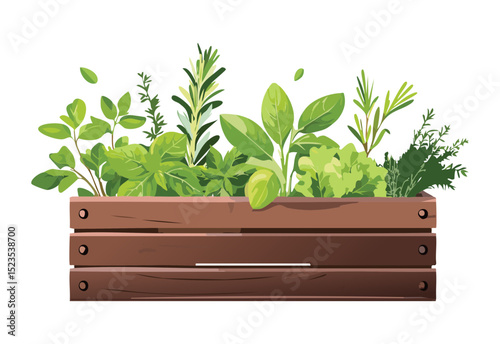 Various Green Herbs in Dark Planter