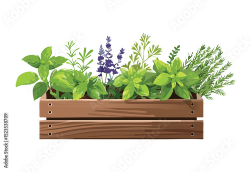 Herbs and Small Flowers in Crate