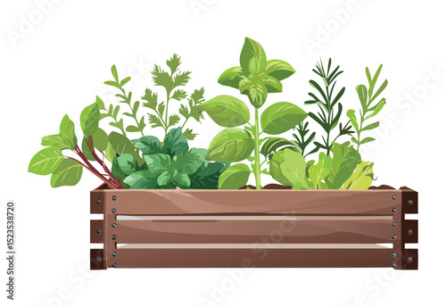 Green Mint and Basil in Crate