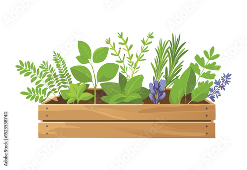 Abundant Green Herbs in Wooden Crate