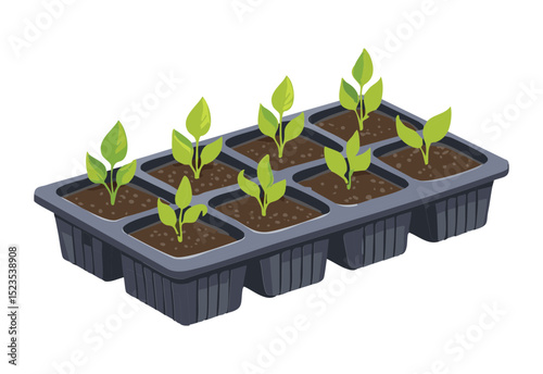 Seedlings Growing in Black Propagation Tray