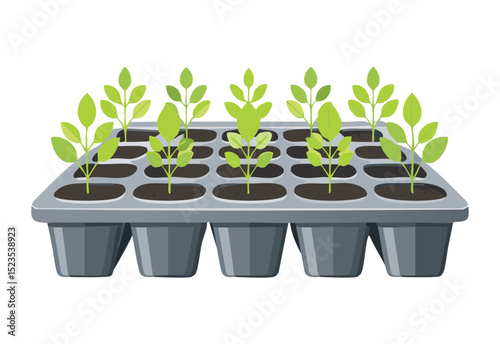 Young Plants Growing in Garden Starters