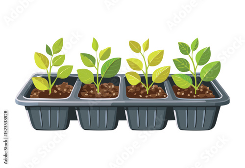 Vibrant Seedlings in Black Nursery Pots