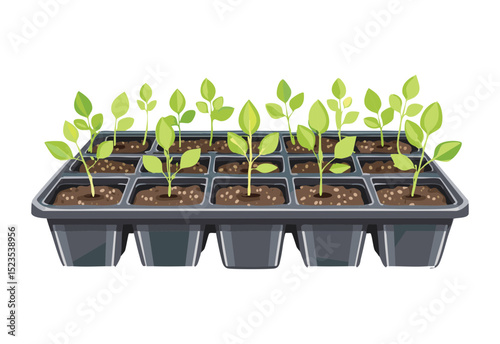 Young Seedlings Growing in Seed Trays