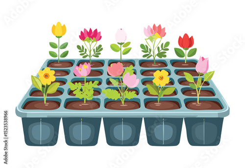 Colorful Flowering Plants in Nursery Tray