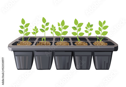 Many Young Plants in Nursery Trays