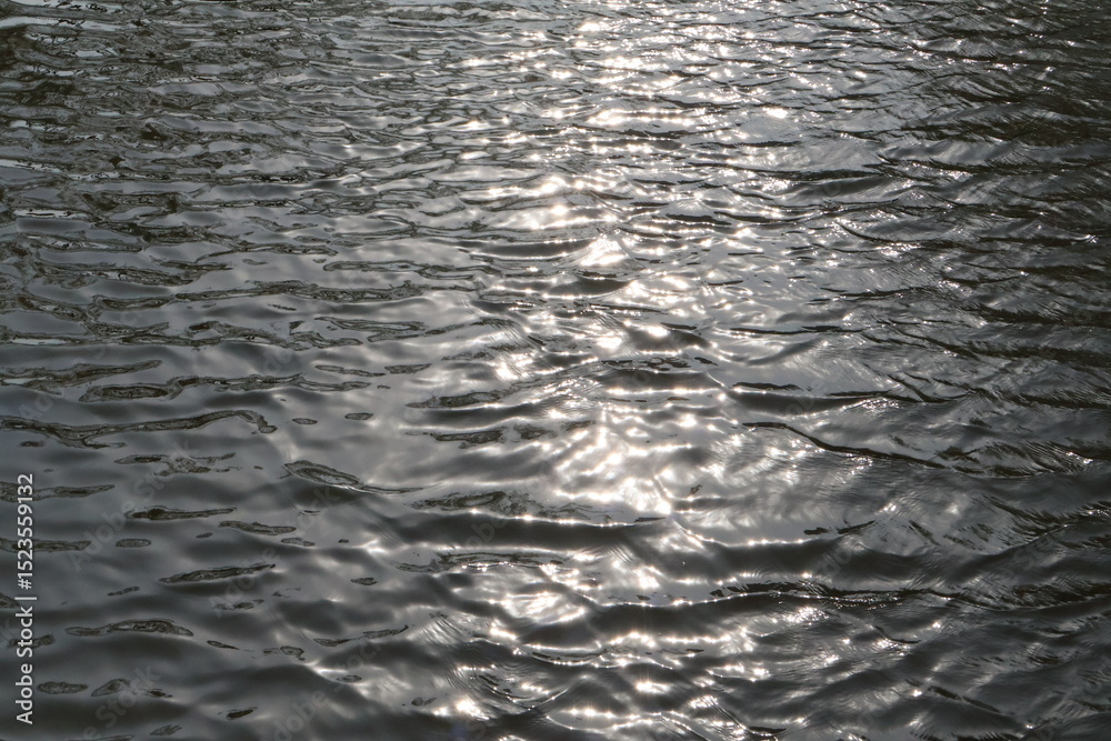 Obraz premium sparkling ripples on the water