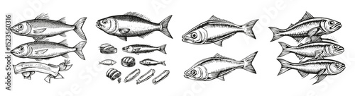 Hand-Drawn Illustration of Sardines and Sushi Elements in Vintage Style, vector illustration, engraving design, logo design set, black and white line, template design element