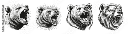 Angry Grizzly Bear Head Vector Logo Design with Fierce Expression, vector illustration, engraving design, logo design set, black and white line, template design element