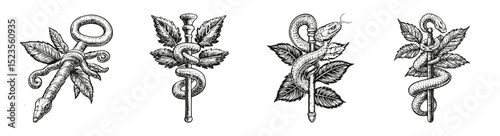 Vintage Medical Symbols Featuring Serpents, Leaves, and Staves, vector illustration, engraving design, logo design set, black and white line, template design element