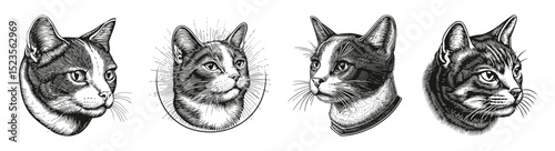 Vintage Illustrations of Cat Heads in Detailed Sketch Art Style, vector illustration, engraving design, logo design set, black and white line