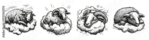 Four Illustrations of Sheep Resting on Clouds in Vintage Style, vector illustration, engraving design, logo design set, black and white line