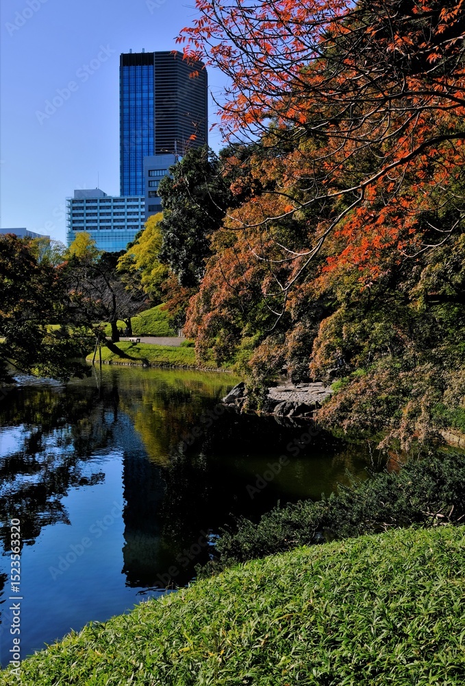 Fototapeta premium 日本、東京、小石川後楽園、庭園、都立庭園、大名庭園、日本庭園、通天橋、池塘、綠色、風景、重要文化財、木造建築、写真素材
