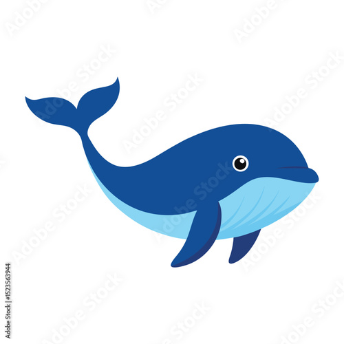 dolphin