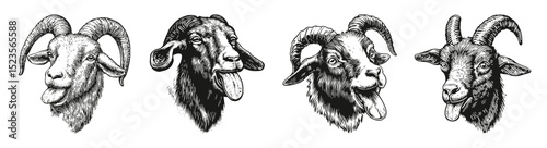 Vintage Hand-Drawn Goat Heads Illustrations for Rustic Decor, vector illustration, engraving design, logo design set, black and white line