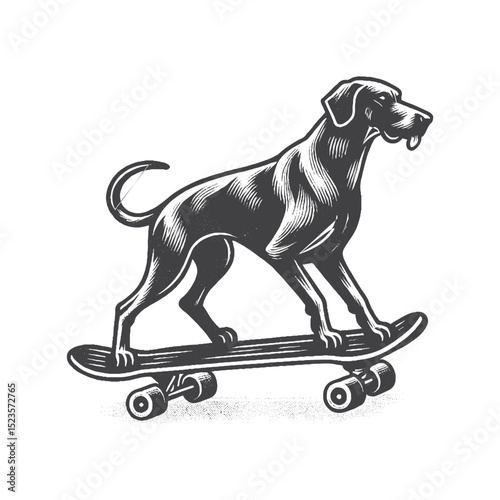 Vintage Hand-Drawn Great Dane Riding a Skateboard Illustration – Cool Dog Engraved Style Vector for T-Shirts, Posters, Stickers, and Urban Streetwear Apparel