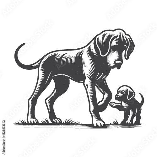 Vintage Hand-Drawn Great Dane Playing With Puppy Illustration – Gentle Giant Engraved Style Vector for T-Shirts, Posters, Stickers, and Family Pet Theme Apparel