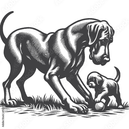 Vintage Hand-Drawn Great Dane Playing With Puppy Illustration – Gentle Giant Engraved Style Vector for T-Shirts, Posters, Stickers, and Family Pet Theme Apparel