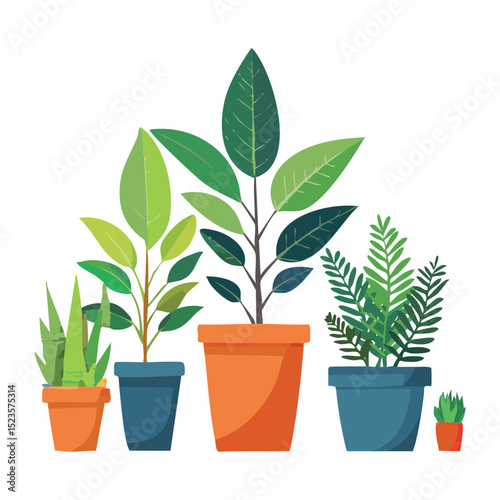 Collection of Diverse Indoor Potted Plants