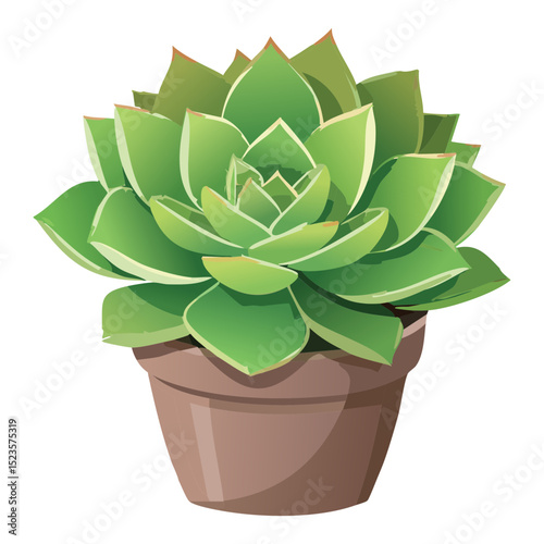 Green Succulent Plant in Clay Pot
