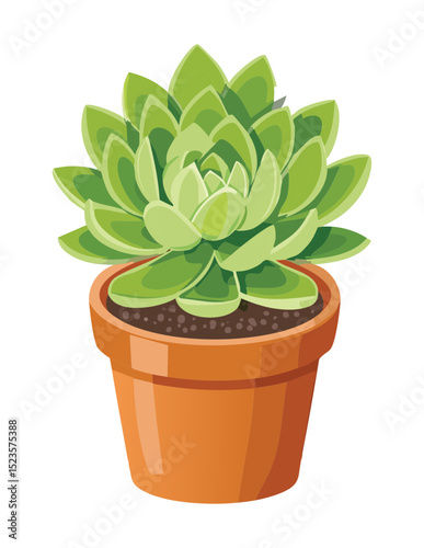 Close Up Green Succulent Plant