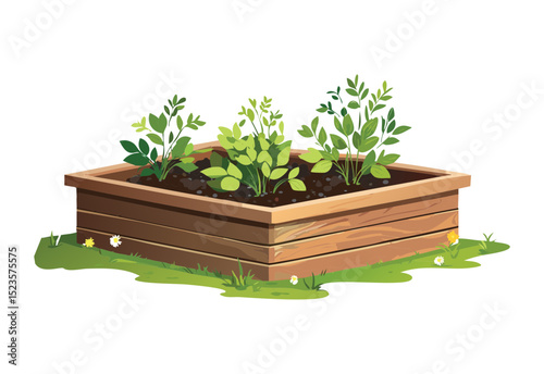 Lush Leafy Greens in Raised Garden