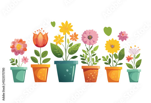 Assorted Bright Flowers in Decorative Pots