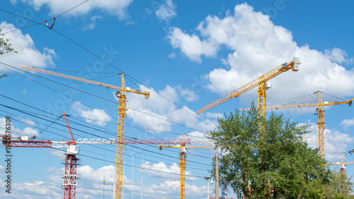 A large number of tower construction cranes are involved in the construction of a new residential area. Construction equipment. Tower cranes among the trees and the blue sky with clouds.
