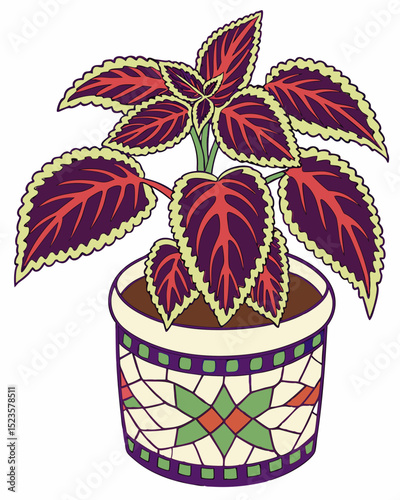 Vibrant Coleus Plant with Colorful Leaves in a Decorative Mosaic Pot A Stunning Houseplant for Home Decor