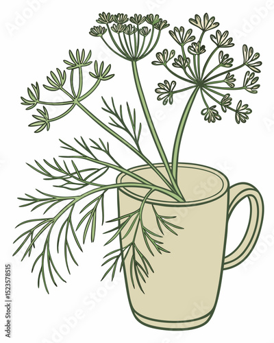 Dill in a Repurposed Coffee Mug A Simple, Elegant Herb Arrangement -  White Background Illustration