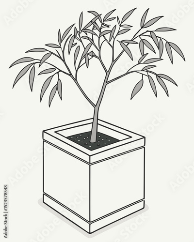 Elegant Eucalyptus Sapling in a Modern White Cube Planter A Minimalist Indoor Plant Design
